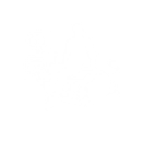 Lil' Submarine - Emote - Fortnite
