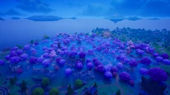 Nightshift Forest (3.78 MB) Nightshift Forest
