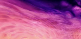 F83174C1-3DD4-4242-9647-8F4B90B6D7A5