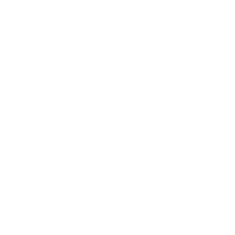 Jitterbug - Emote - Fortnite