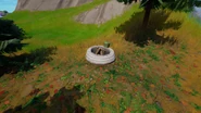 Campsite