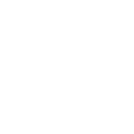 Blanka Backflip - Emote - Fortnite