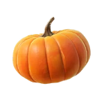 Pumpkin - Material - Fortnite.png (98 KB) Pumpkin