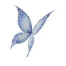 Lady's Frostwings (FX - Off) - Back Bling - Fortnite