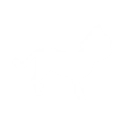 Toony Tabby (Build - Default) - Sidekick - Fortnite