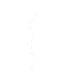 Steady - Emote - Fortnite