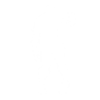 Zombified - Emote - Fortnite