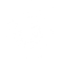 FLAWLESS VICTORY (Featured) - Emote - Fortnite
