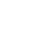 Incognito