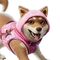 Miso (Shinobi Shōzoku - Sakura) - Sidekick - Fortnite