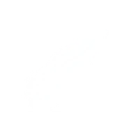 Icon used in the Ranked Quests for the Titanium White Style