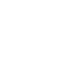 Windfrost's Ritual - Emote - Fortnite
