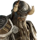 Nord Warrior - Outfit - Fortnite