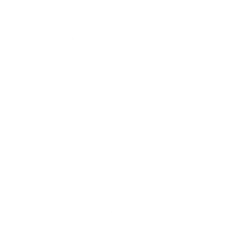 The Flow - Emote - Fortnite
