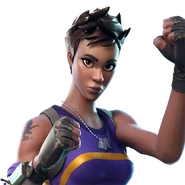 Icon (Before v34.00)