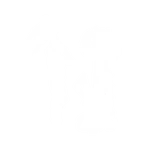 Test Your Strength - Emote - Fortnite