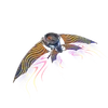 Adventure Aerial (Dashing) - Glider - Fortnite