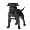 Dog (Pen & Ink) (Battle Pass) - Sidekick - Fortnite