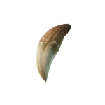Wolf Tooth - Material - Fortnite.png (32 KB) Wolf Tooth