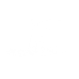 Lil' Skimboard - Emote - Fortnite