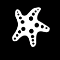 Starfish Uncommon Battle Royale BRS17_Island2 Island Games Quests