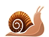 Snail
