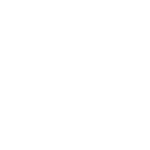 Toony Stride - Emote - Fortnite