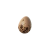 Brown Speckled Dino Egg - Material - Fortnite