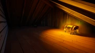 Attic