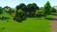 Grove