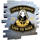 Live to Ride - Spray - Fortnite