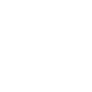 Icon for making your own custom Simulation