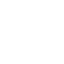 Jellyfish Jam - Emote - Fortnite