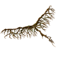 Root Wing - Glider - Fortnite
