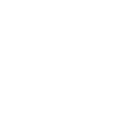 Scouse Stepper (Featured) - Emote - Fortnite