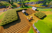 Frenzy Farm (Field 6) - Location - Fortnite