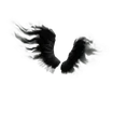 Shadow Wings - Back Bling - Fortnite