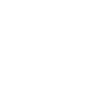 Icon Explosive