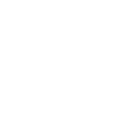 Icon Explosive