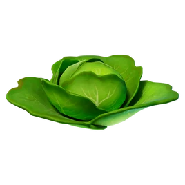 Cabbage (v15.20) - Item - Fortnite