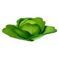 Cabbage (v15.20) - Item - Fortnite