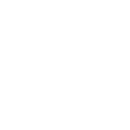 Icon Survivor Leader