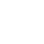 Icon Survivor Leader