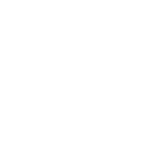 Tape Decked - Emote - Fortnite