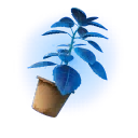Green Herb (Blue) - Back Bling - Fortnite
