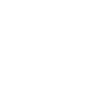 Pop Muzik - Emote - Fortnite