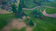 Tree Circle