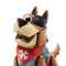 Woodsy (Outfit - Cap'n Crossbones) - Sidekick - Fortnite