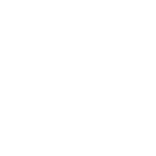 Lil' Saucer - Emote - Fortnite