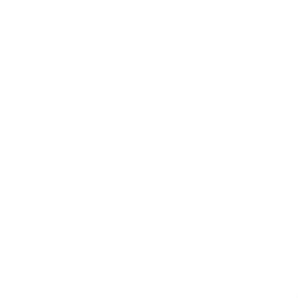Storm Salutation - Emote - Fortnite